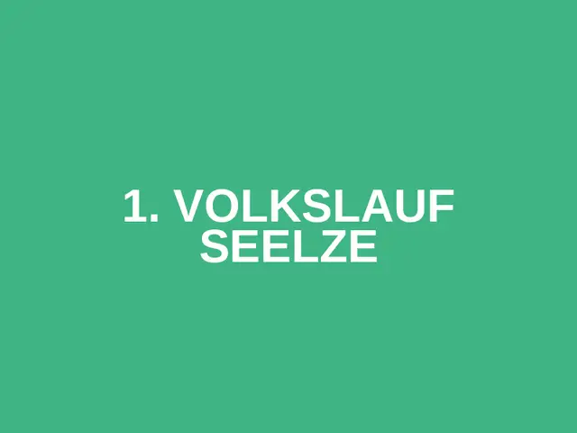 1. Volkslauf Seelze logo
