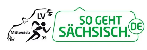 17. Fackellauf des LV Mittweida 09 - Das Original! logo