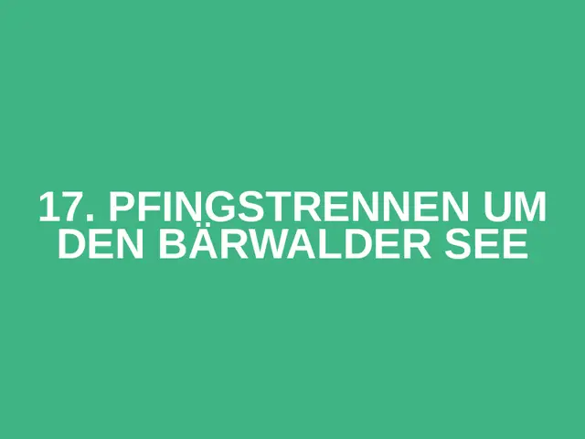 17. Pfingstrennen um den Bärwalder See logo