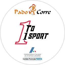 1to1 Sport Race logo