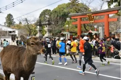 Nara Marathon 2026 (奈良マラソン2026) logo