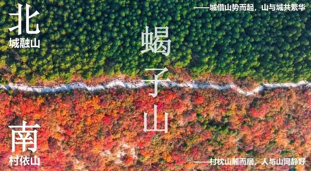 2026 Jinan Xinglong Scorpion Mountain Trail Race and Sikaile Ladybug Training Race, Jinan Stage (2026济南兴隆蝎子山越野赛暨思凯乐瓢虫训练赛济南站) logo