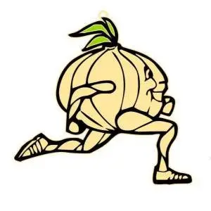 2027 Vidalia Onion Run logo