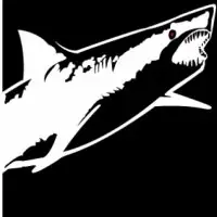 2027 Alcatraz Sharkfest Swim logo