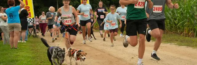 2027 All Paws on the Ground 5K logo