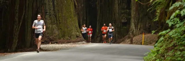 2027 Avenue of the Giants Marathon logo