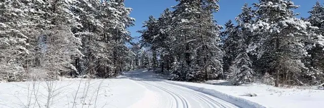 2027 MECCA Trails Winterfest logo