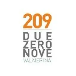 209 Marathon logo