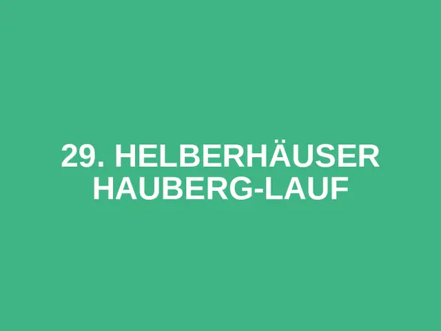 29. Helberhäuser HauBerg-Lauf logo