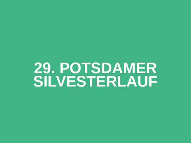29. Potsdamer Silvesterlauf logo