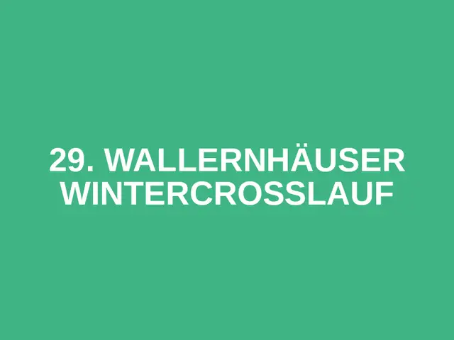 29. Wallernhäuser Wintercrosslauf logo