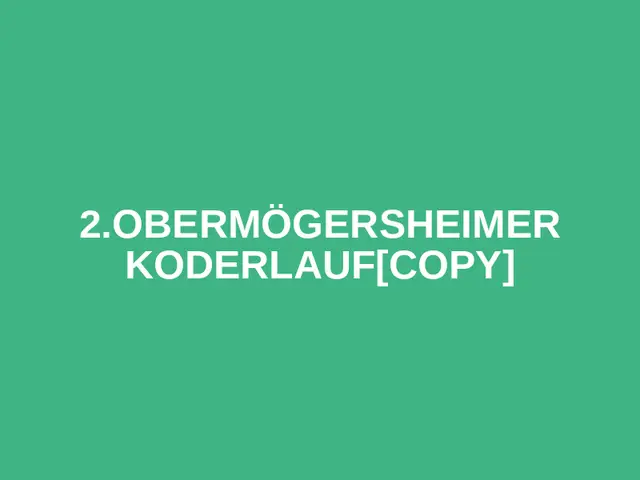 2.Obermögersheimer Koderlauf[copy] logo