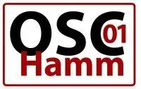 3. Sparkassen Adventslauf Hamm 2026 logo