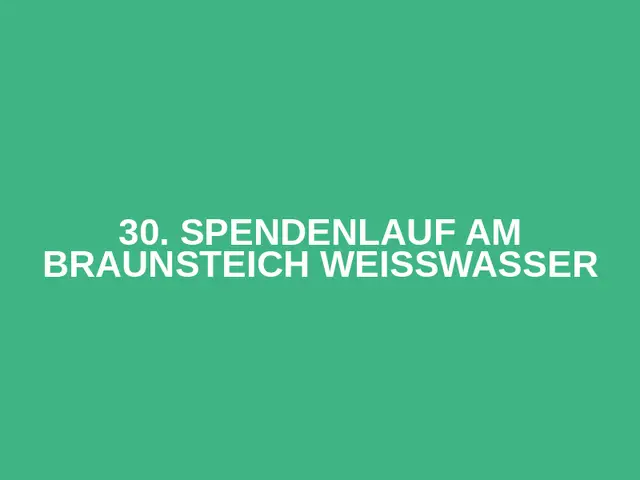 30. Spendenlauf am Braunsteich Weißwasser logo