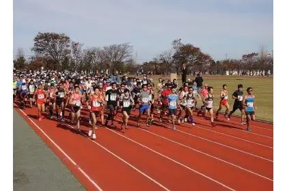 33rd Alluvial Fan Marathon in Nyuzen (第33回扇状地マラソンINにゅうぜん) logo