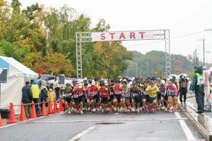 34th Nagareyama Road Race (第34回流山ロードレース大会) logo