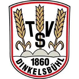 35. Dinkelsbühler Staffellauf logo