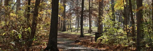 4 Hours in the Woods - Endurance Style Fun Run - Sponsored by Community In Motion logo