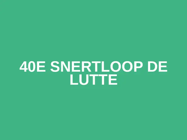 40e Snertloop De Lutte logo