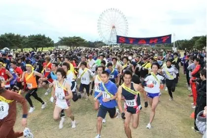 33rd 42.195km Relay Marathon at Hitachi Seaside Park (42.195kmリレーマラソン第33回国営ひたち海浜公園) logo