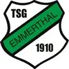 51. Emmerthaler Silvesterlauf 2026 logo