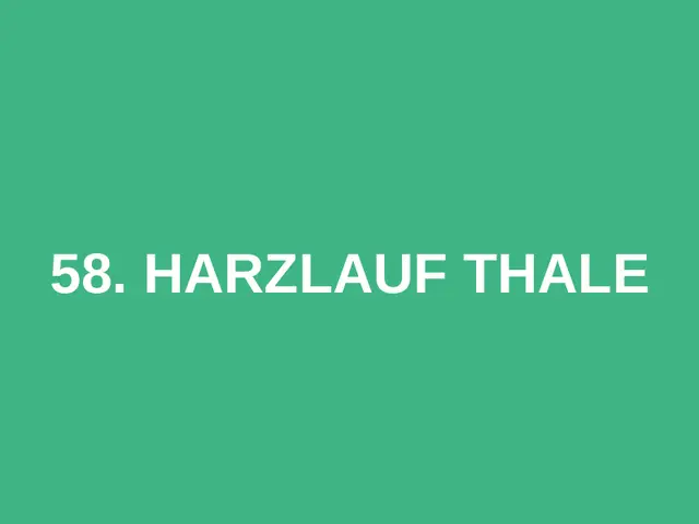 58. Harzlauf Thale logo