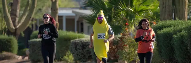 5k with a View logo