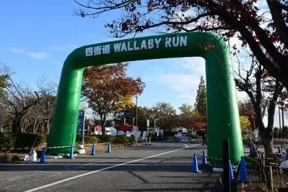 5th Yotsukaido WALLABY RUN (第5回四街道WALLABY RUN) logo