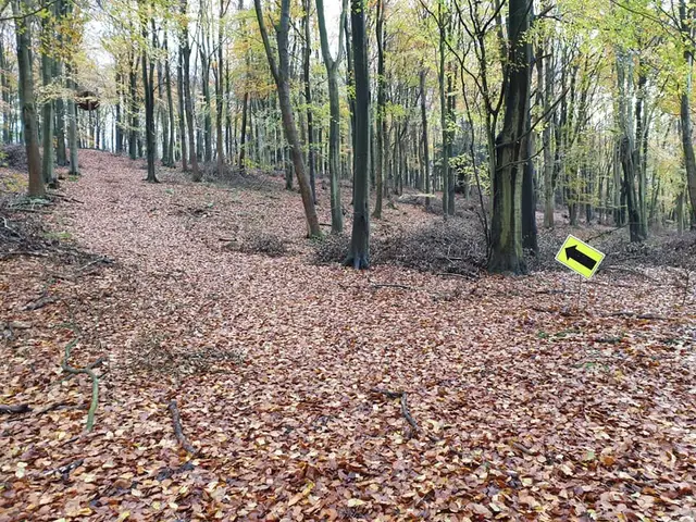 666 Trail Run logo