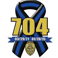 704 Blue Run logo