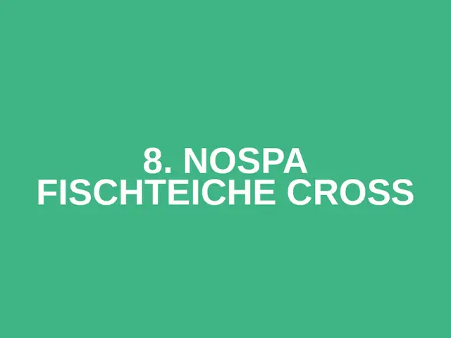 8. Nospa Fischteiche Cross logo