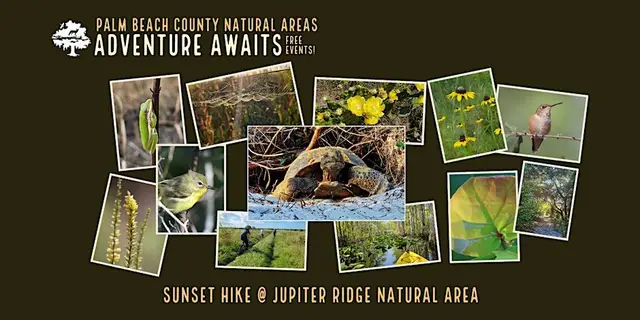 Adventure Awaits - Sunset Hike @ Jupiter Ridge logo