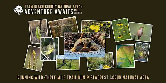 Adventure Awaits - Three Mile Sunset Trail Run @ Seacrest Scrub logo