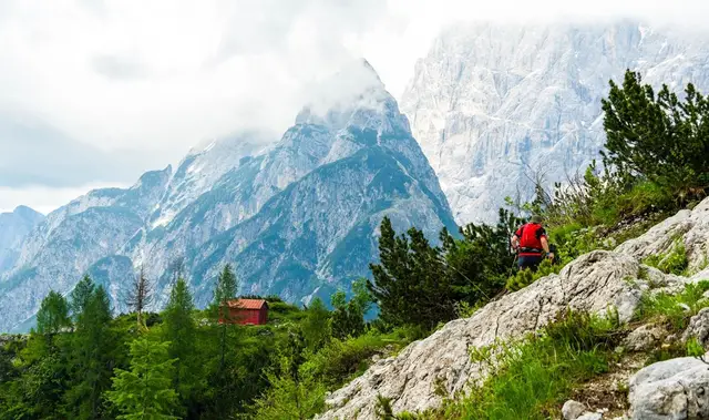 Alpe Adria Ultra Trail Summer logo