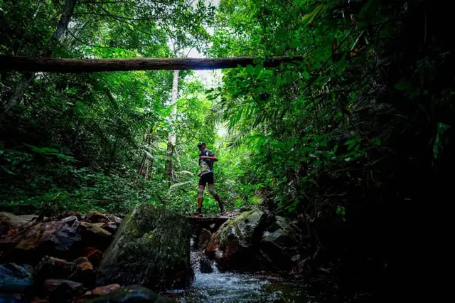 Amazean Jungle Thailand by UTMB - JUNGLE 50K logo