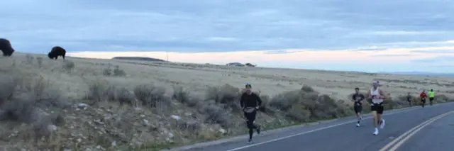 Antelope Island Marathon - 26.2 - 13.1 - 10K - 5K logo