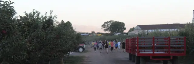 Apple Harvest Run - 10K - 5K - 1 Mile logo