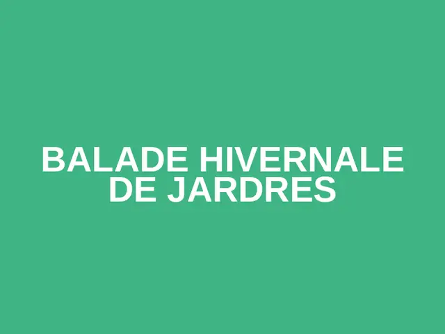 Balade Hivernale de Jardres logo