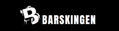 Barskingen OCR 2027 logo