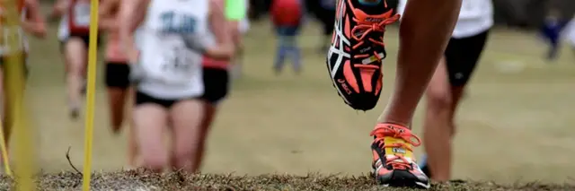 Battle of Hynes Hill Cross Country Invitational logo