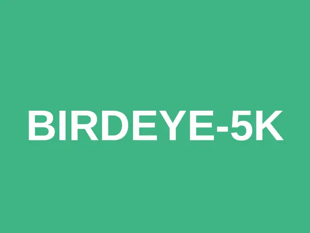 Birdeye-5k logo