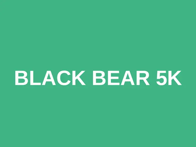 Black Bear 5k logo