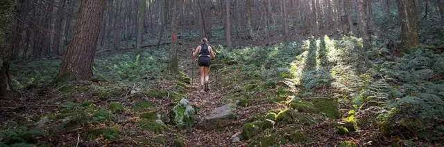 Black Forest Ultra 100k logo