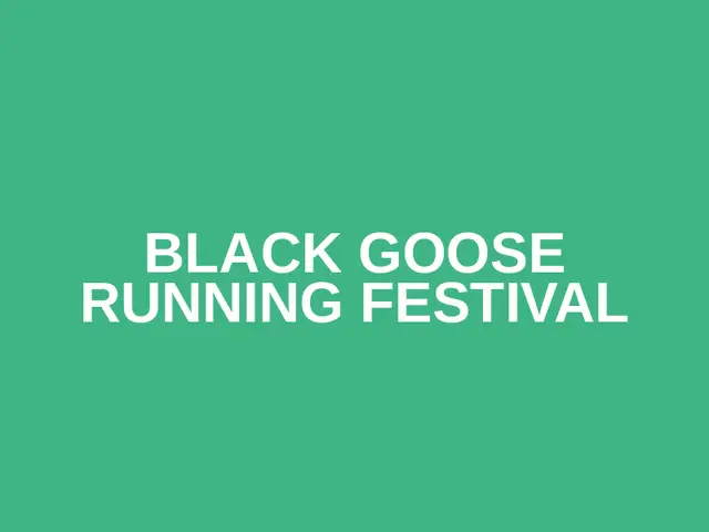 black goose running festival logo