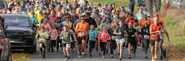 Blue Star Mothers of NEPA Hero 5K Run/Walk - 10th Anniversary! logo