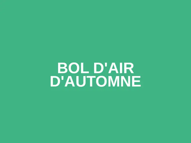 BOL D'AIR D'AUTOMNE logo