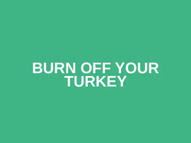 Burn off your Turkey logo