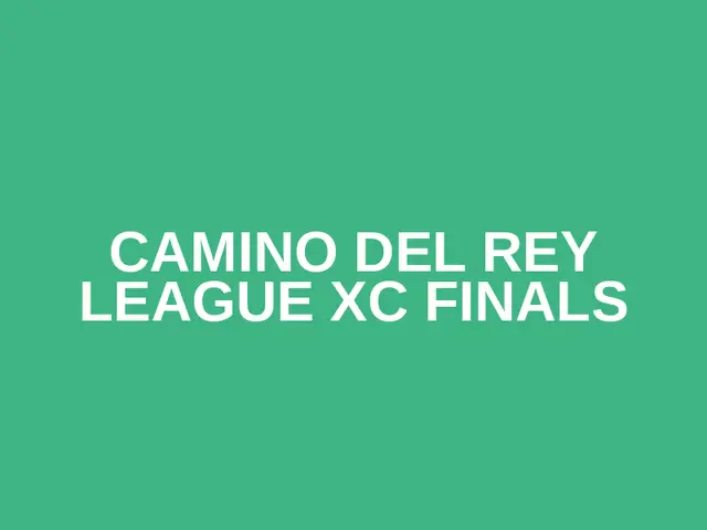 Camino Del Rey League XC Finals logo