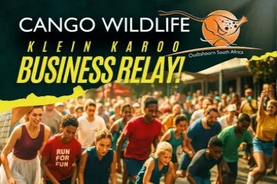 Cango Wildlife Klein Karoo Business Relay logo