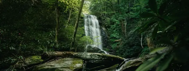 Catawba Falls 15k logo